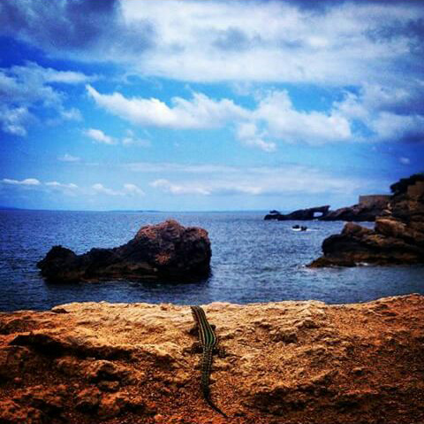 Es Torrent